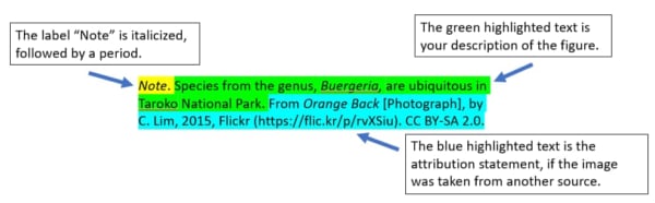 appendix trong tiếng anh là gì