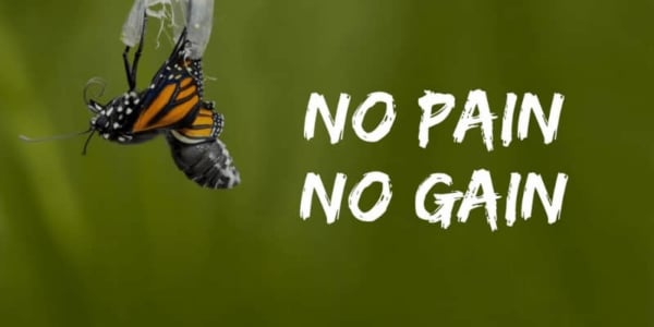 no pain no gain tiếng việt là gì