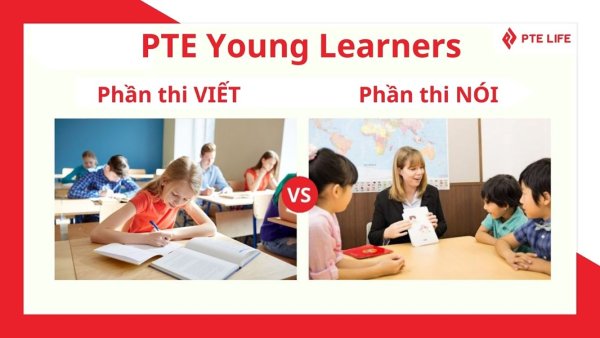 Chứng chỉ PTE Young Learners là gì? Những điều CẦN BIẾT 4 Thi PTE Young Learners