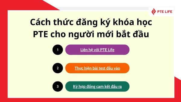 Khóa học PTE cho người mới bắt đầu: Đơn giản, Dễ hiểu 3 khóa học PTE dành cho người mới