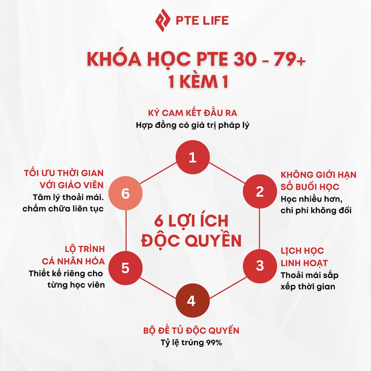 Khóa học PTE 30-79+: Cá nhân hóa lộ trình - Chinh phục mọi target 2 khoa hoc pte 30 79 2