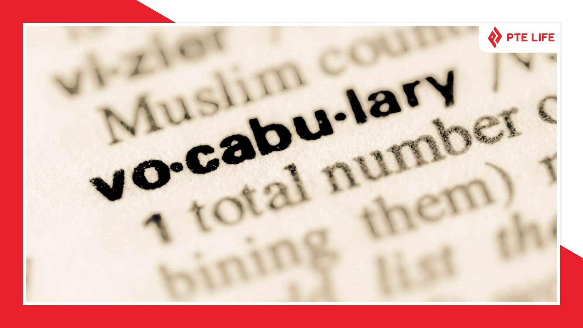 tron-bo-tu-vung-pte-79-moi-nhat-1